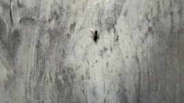 IMG_3274.jpeg