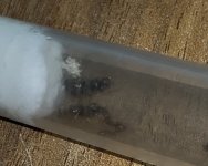 IMG_0776.jpeg