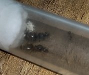 IMG_0775.jpeg