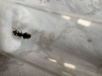 IMG_5160.jpeg
