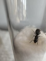 IMG_5159.jpeg