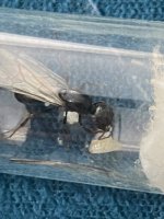 IMG_7273.jpeg