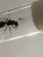 IMG_7277.jpeg