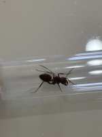 IMG_2768.jpeg IMG_2768.jpeg