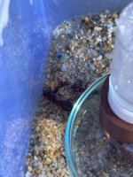 IMG_2861.jpeg IMG_2861.jpeg