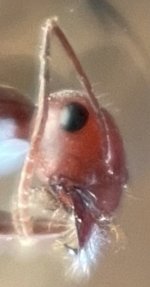 IMG_6955.jpeg