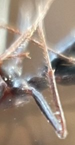 IMG_6954.jpeg