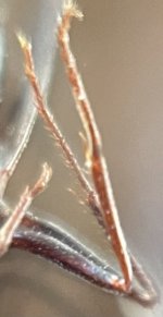 IMG_6949.jpeg