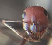 IMG_6939.jpeg