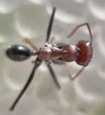 IMG_6916.jpeg