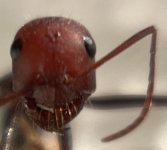 IMG_6914.jpeg