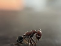 IMG_6896.jpeg