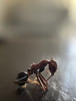 IMG_6878.jpeg