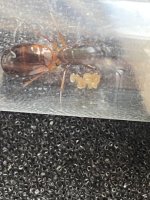 IMG_0639.jpeg