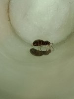 IMG_20250608_221850614.jpg