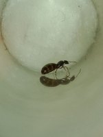 IMG_20250608_221845850.jpg