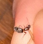 IMG_1684.jpeg