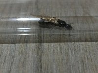 IMG_20250608_235405.jpg