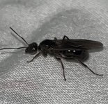IMG_0785.jpeg