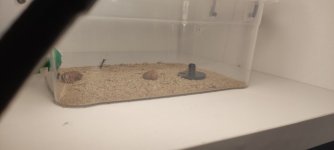 IMG_20250609_131939.jpg