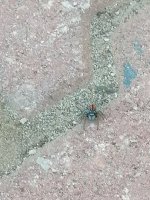 IMG_20250606_180536.jpg