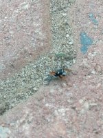IMG_20250606_180544.jpg