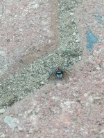 IMG_20250606_180542.jpg