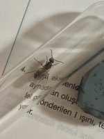 IMG_2830.jpeg
