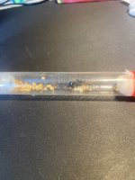 IMG_2233.jpeg