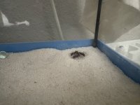 IMG_5023.jpeg