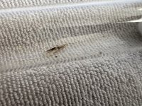 IMG_5149.jpeg