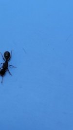 20250608_123616.jpg