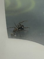 IMG_3303.jpeg