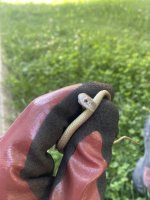 IMG_0672.jpeg