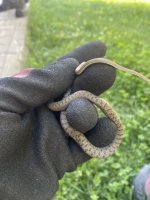IMG_0674.jpeg