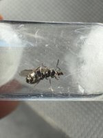 IMG_5187.jpeg