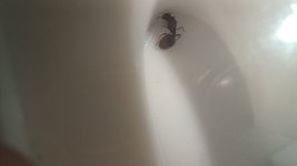 20250610_121747.jpg