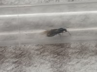 IMG_20250610_122028.jpg