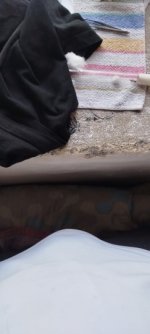 1000051336.jpg