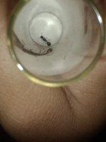 IMG_20250610_182248916.jpg