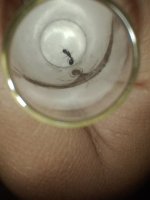 IMG_20250610_182247826.jpg