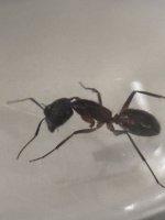 IMG_1878.jpeg