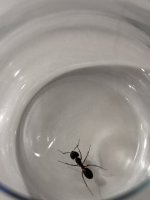 IMG_1876.jpeg