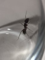 IMG_1880.jpeg