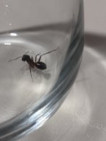 IMG_1882.jpeg