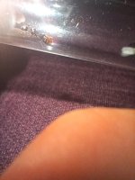 20250610_213805.jpg