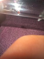 20250610_213804.jpg