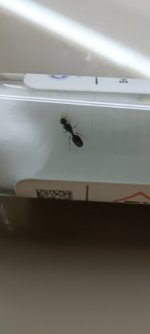IMG_20250610_192017.jpg
