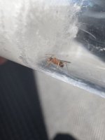 IMG_5213.jpeg