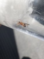 IMG_5212.jpeg